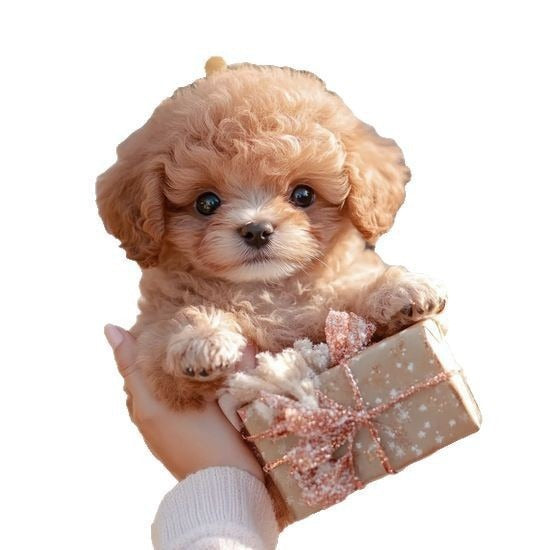 Nico -  My Realistic Robot Puppy
